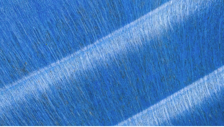 abstracte closeup1