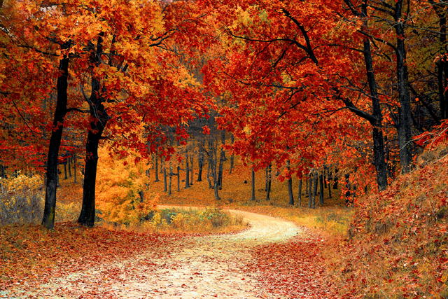herfst2