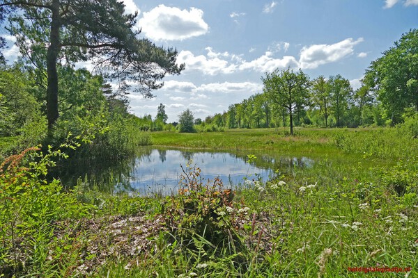 Nijkerks landschap
