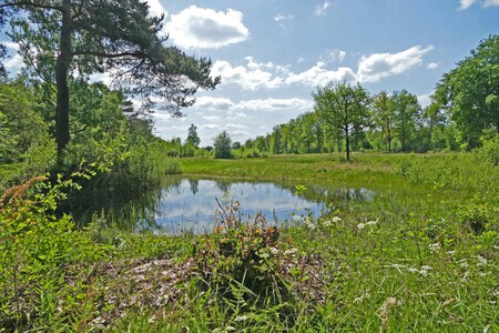 Nijkerks landschap