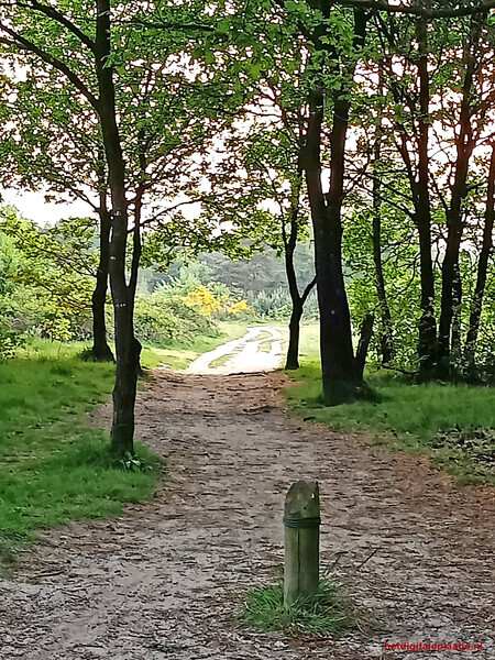 Krachtighuizer heide