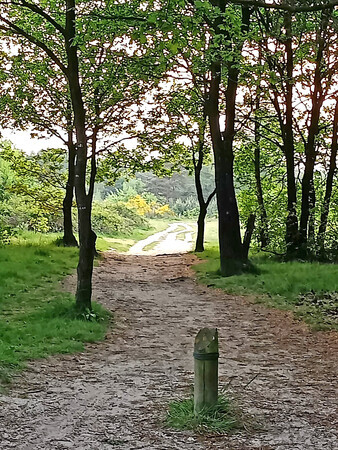 Krachtighuizer heide