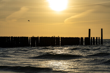 Avondje op het strand