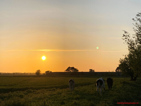Hollands landschap
