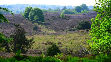 Postbank landschap