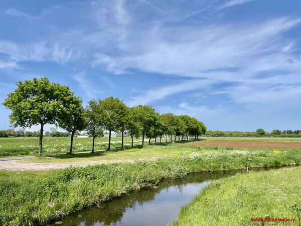 Rechtop in de wind