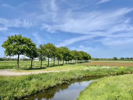 Rechtop in de wind