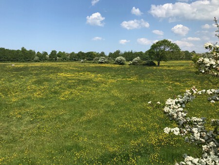 Lentepracht in Zeeland