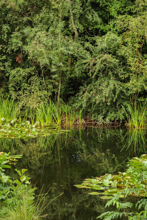 Green paradise