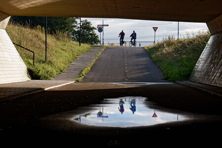 Tunnelvisie