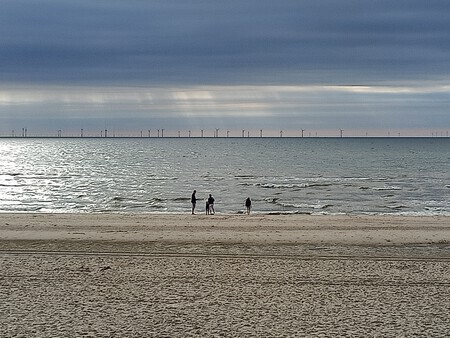 Zen en zon aan zee