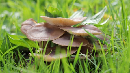 Herfst in mooi IJsselstein