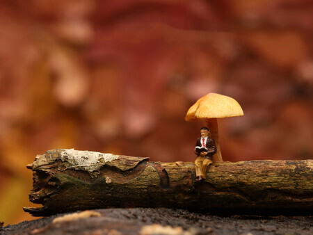 mens & natuur...