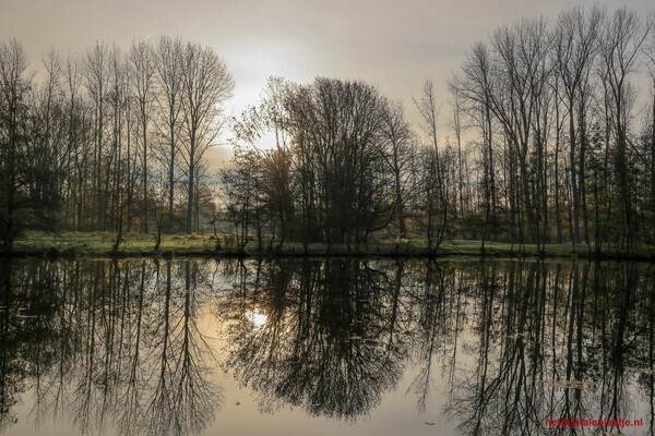 Weerspiegelende Herfstochtend