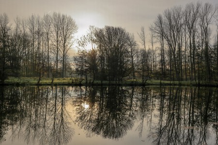 Weerspiegelende Herfstochtend