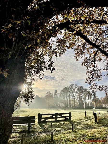 Mystieke herfst ochtend