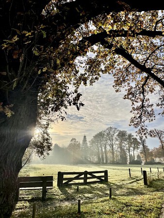 Mystieke herfst ochtend