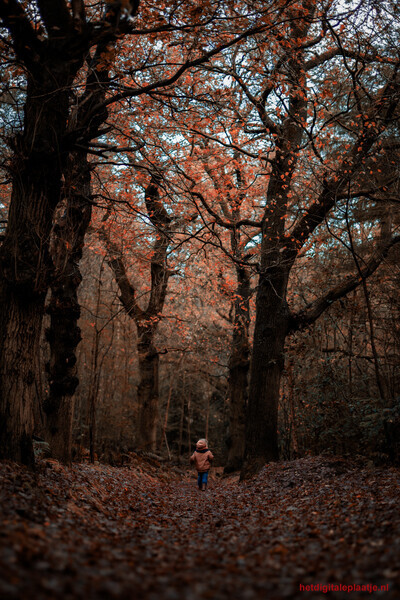 On an adventure