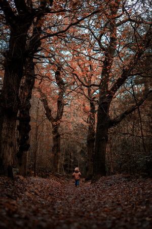 On an adventure