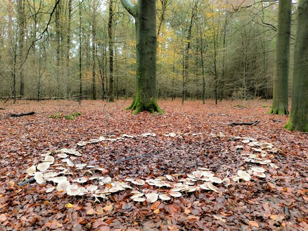 Heksenkring vestiging Arnhem