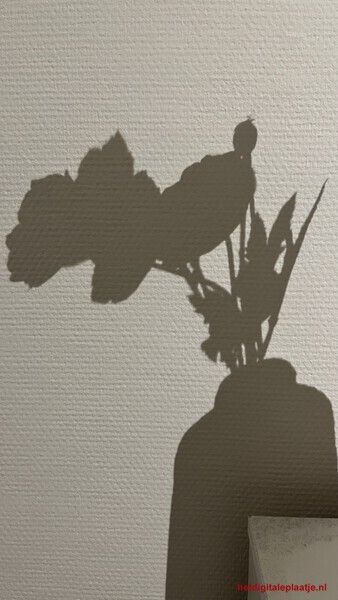 Muurbloemen