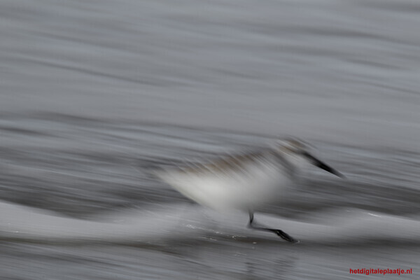 I Am Speed