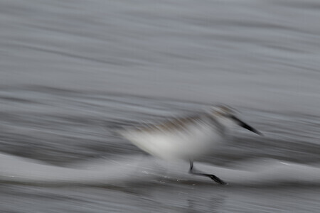 I Am Speed