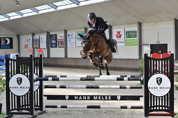 Horse jumping