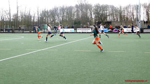 Holhockey