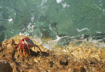 stil krabbetje, bewegend water