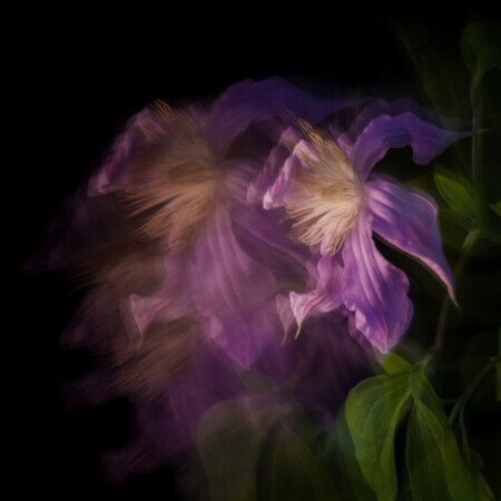 Bloemendans