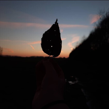 Golden hour