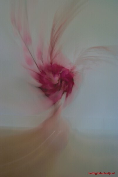 Pink Flower Rotation