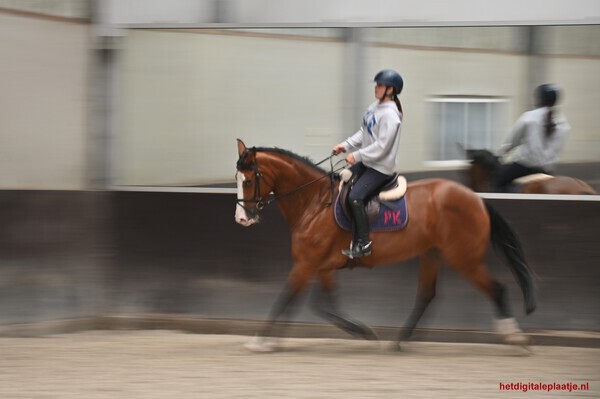 Horse riding girl