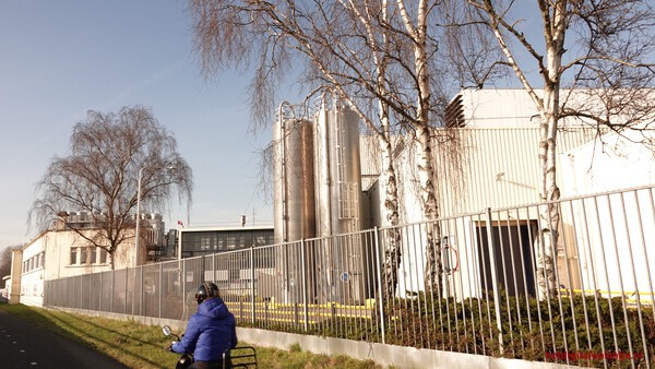 Berken contra silo's