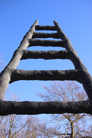 de ladder