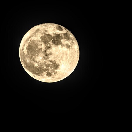 Volle maan