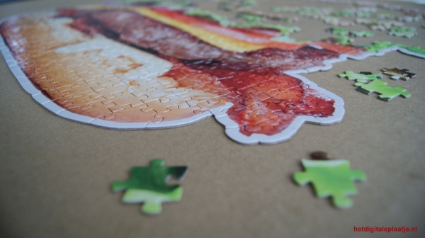 Pieces of the Puzzle