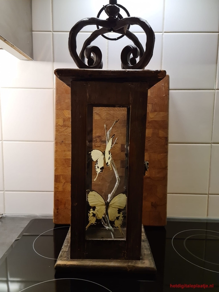 Vlinders opzetten
