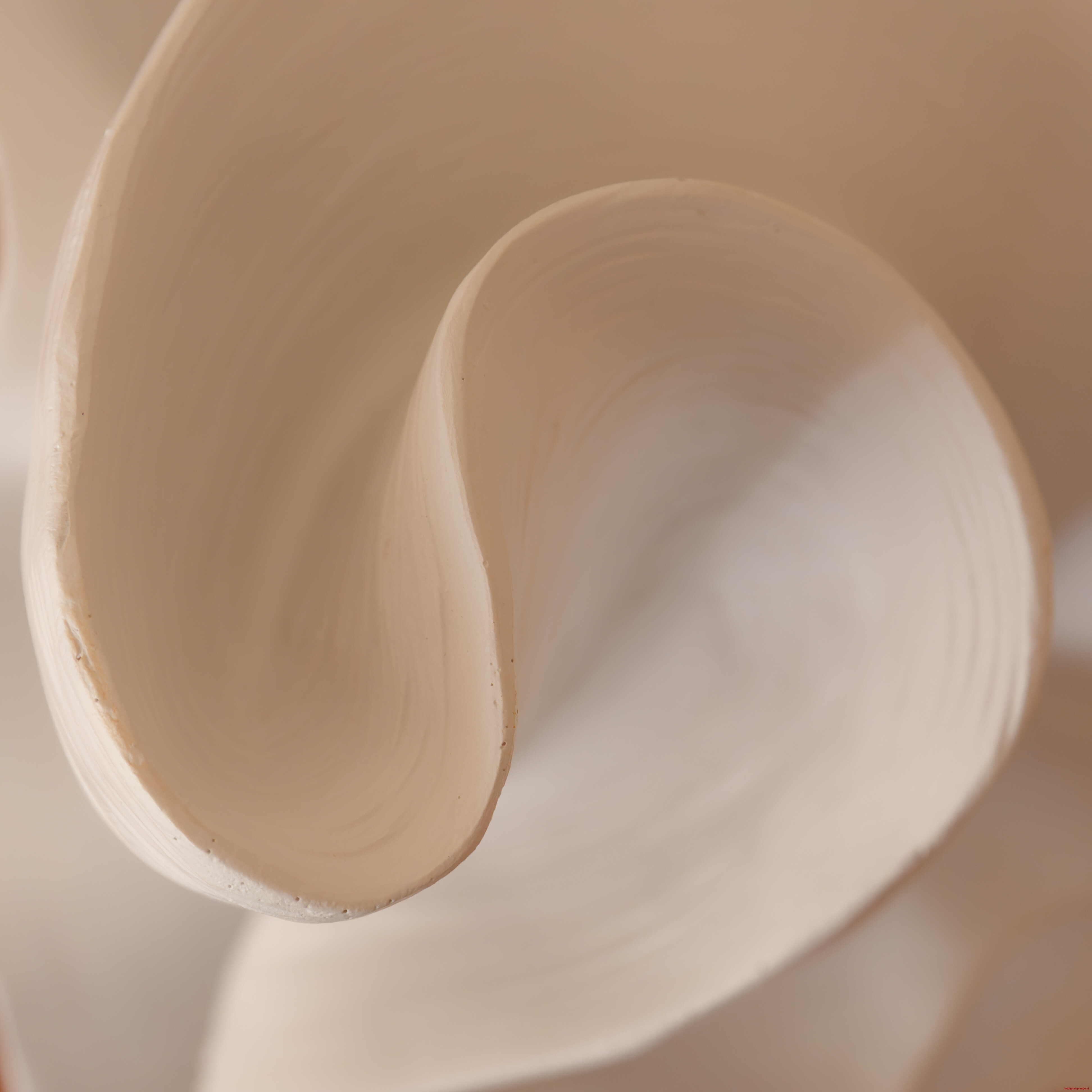 The Shape