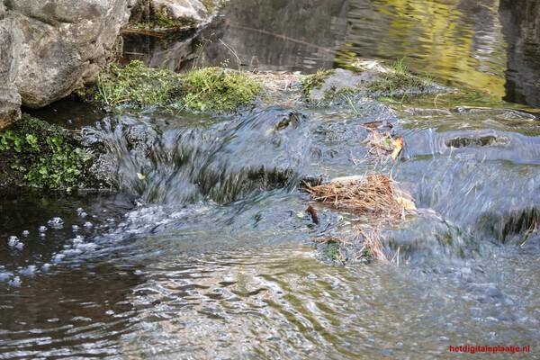 Voortdurende vergankelijkheid