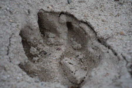 de echo van de herinnering