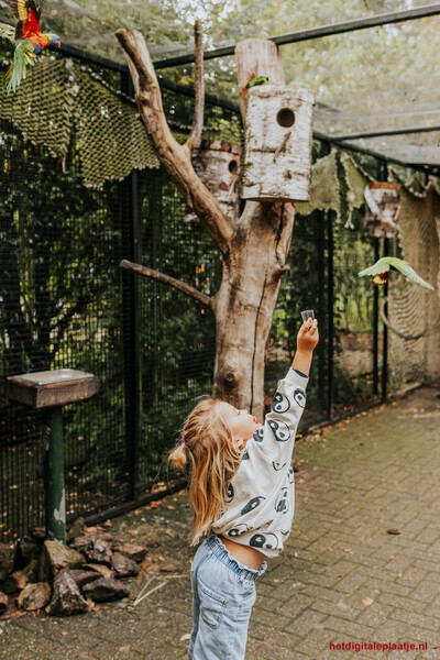 Waar blijven toch die vogeltjes..