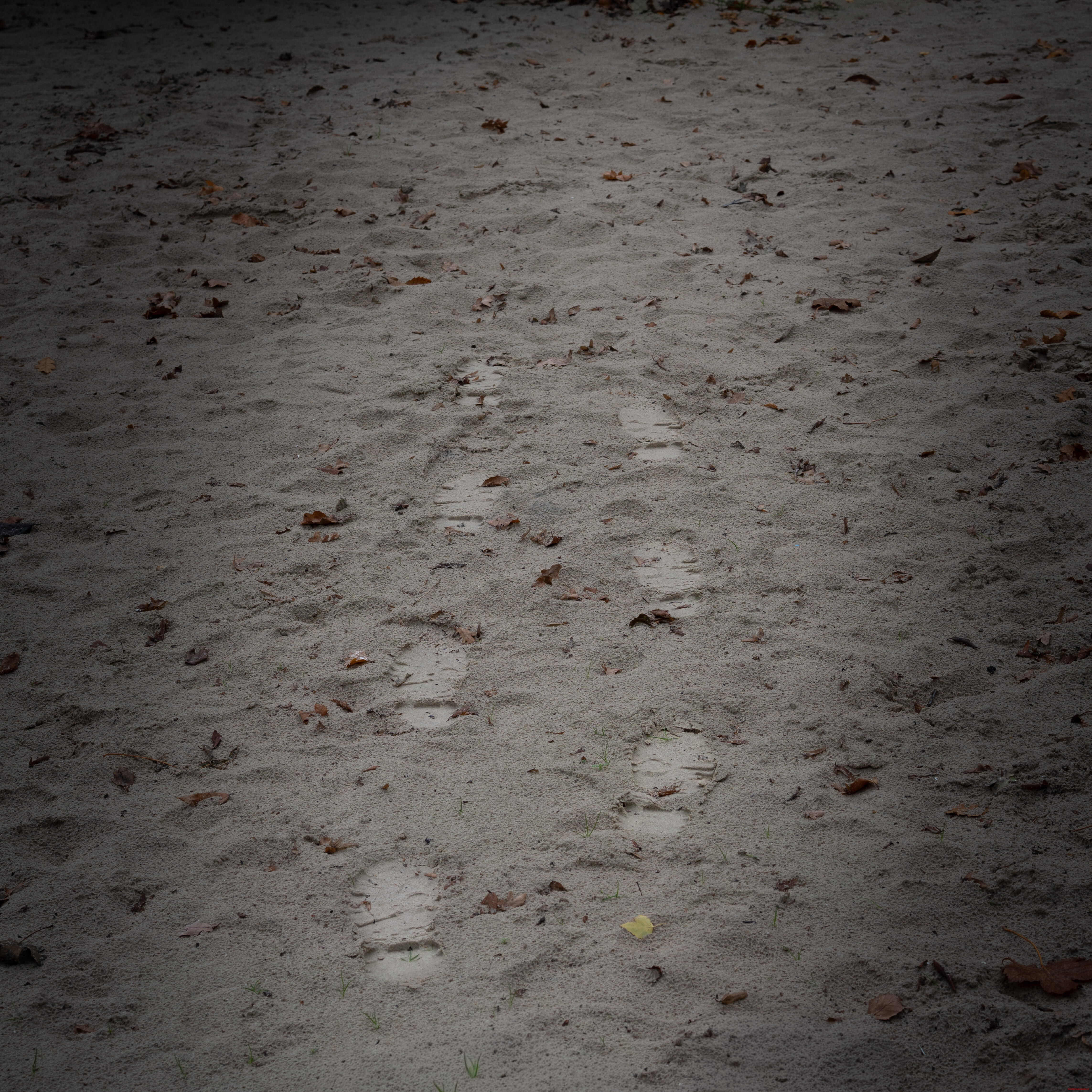 Waar stilte verder gaat