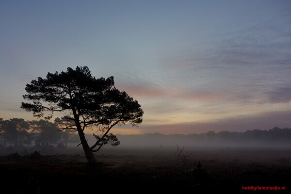 Bussumer hei ontwaakt