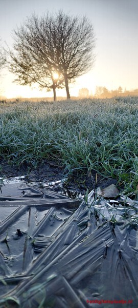 Opkomende winter Zon