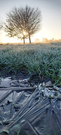 Opkomende winter Zon