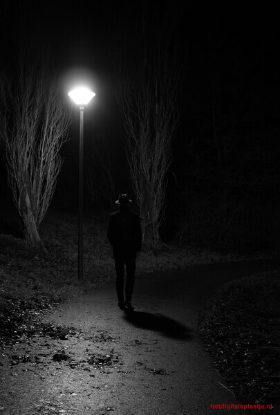 Alleen Onder Het Licht