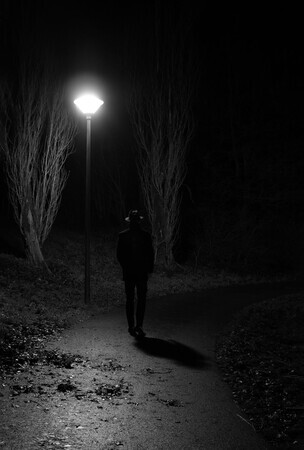 Alleen Onder Het Licht