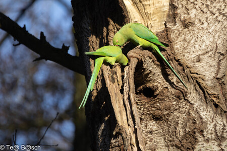 De lente begint ....